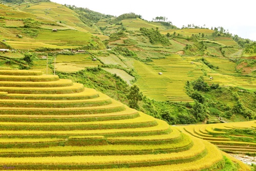 những điểm ngắm mùa thu lãng mạn nhất miền Bắc
